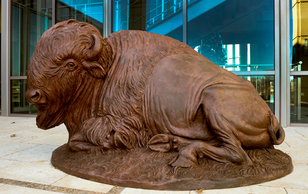 Bronze scupture of a large bison laying on a patch of grass