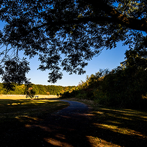 A pathway under a shaded tree that passes by one of the Spiro Mounds.