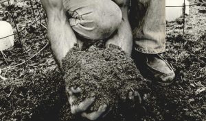 A person holding handfuls of dirt.