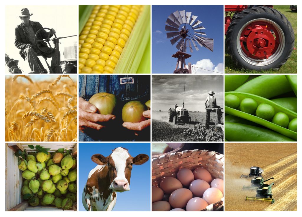 Tractors, harvesters, wheat, tomatoes, peas, eggs, corn, and pears pictured.