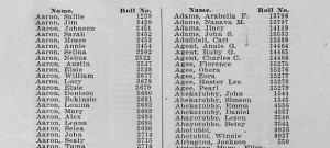 A list of names on the Dawes Rolls.