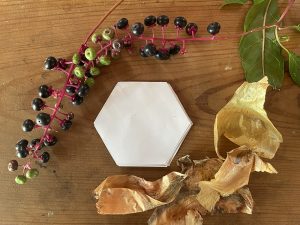 Blotting papers and berries and plants on a wooden work table