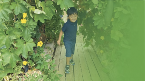 A boy walks through a tunnel lined with flowers and plants.