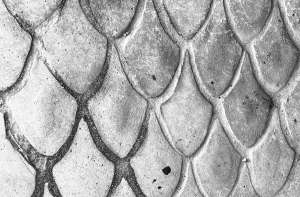 Building design details following a pattern.