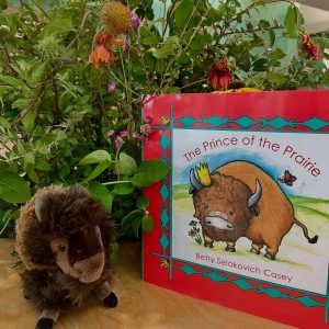 The book "The Prince of the Prairie" and a plush buffalo.