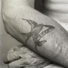 A photo detail of a man's right arm, tattooed with a bird with wings outspread and banner.