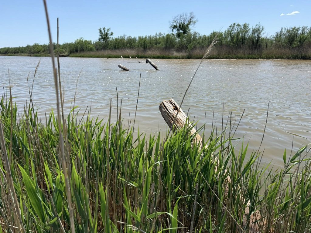 The remnant piers of a Cimarron River bridge rising above the river water.