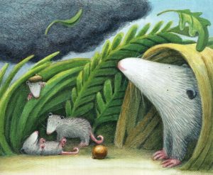 An illustration by Anne Hunter depicting a mother and baby possums caught in a summer storm.