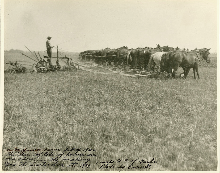 Over fifteen horses pulling a plow in a large field, with a man standing on the plow, leading the team forward, 1926.