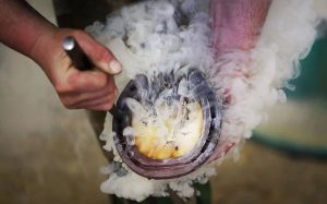 A farrier works with a horseshoe