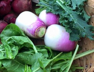 Turnips in a basket