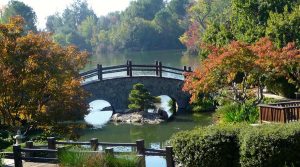A foot bridge surrounded by trees at the Woodward Regional Park.