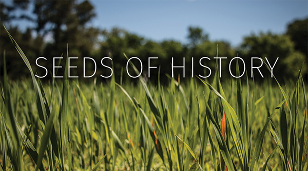 Issue 1, Seeds of History