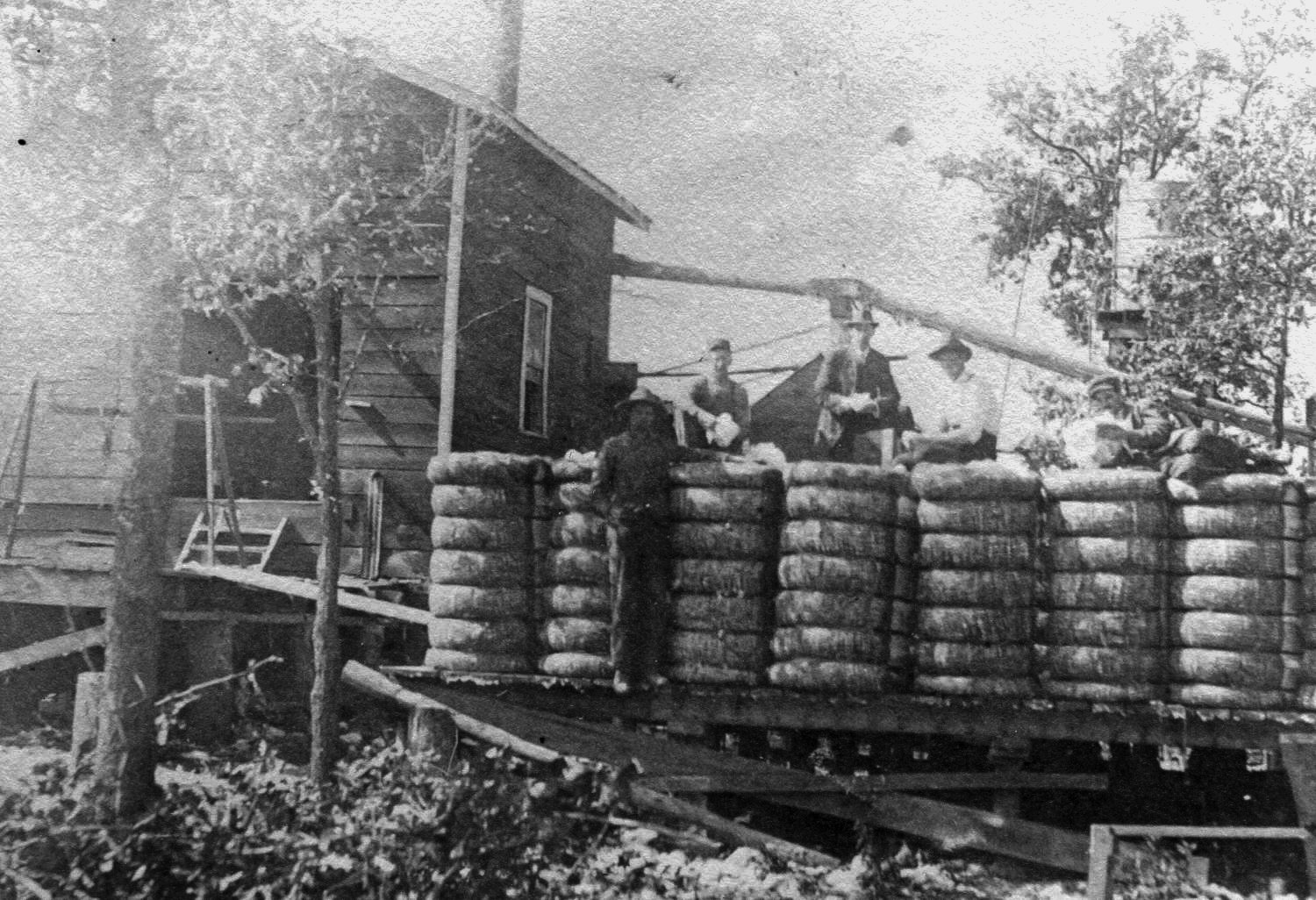 Cylinder-shaped bales of cotton stand on a platform ouside a small structure. One man rests an arm on top of a bale, and others site and stand on top of them as they pose for a photograph.