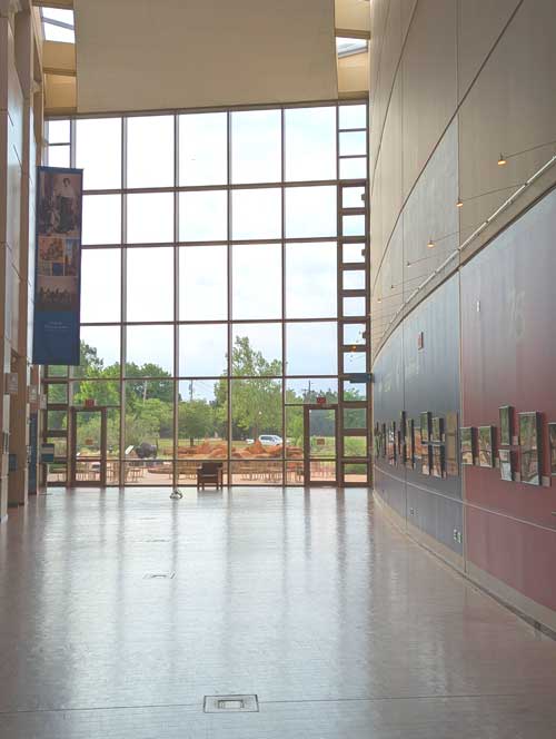 A corridor with large windows showing the outside spaces