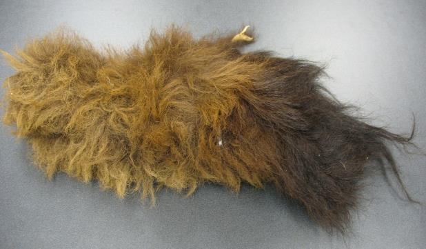 A strip with long, bushy fur.