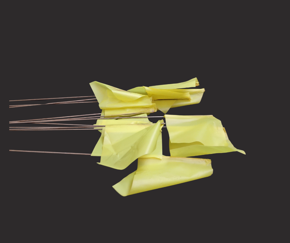 Small plastic flags attached to thin wires