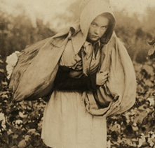 A young girl carries a large bag of cotton on her back