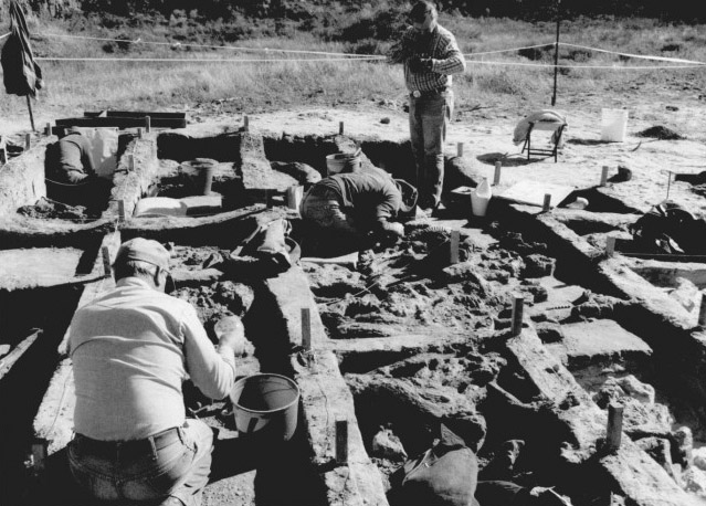 Two people kneel and one stands at a dig site largely comprised of rectangular holes with the edges marked by a rope tied to stakes. 