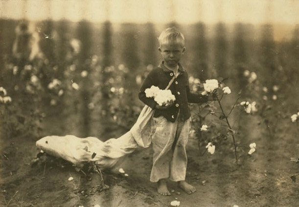 A very young barefoot boy in a cotton field dragging a very large bag. He looks into the camera with his brows furrowed.