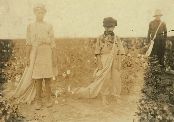Three children stand in a cotton field holding large bags. A girl and boy are closer to the camera, and the youngest peers up solemnly from under his cap. He is barefoot.