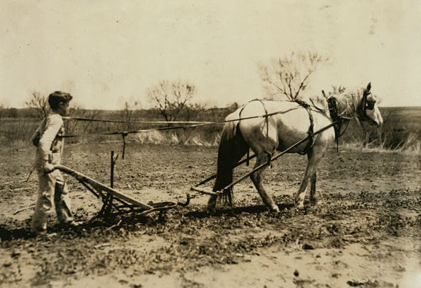 A small boy uses a horse-drawn tiller in an empty field.