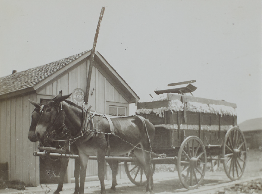 Two horses hitched to a wagon filled with cotton sits front of a building. 