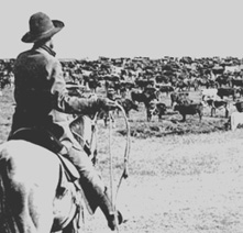 A cowboy on horseback looks towards a herd of cattle 