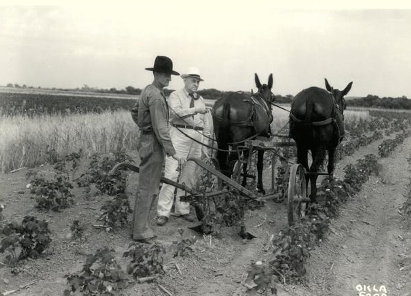 Two white men in a field behind horses and a plow. One man is pointing while the other man is looking where the other man is pointing. 