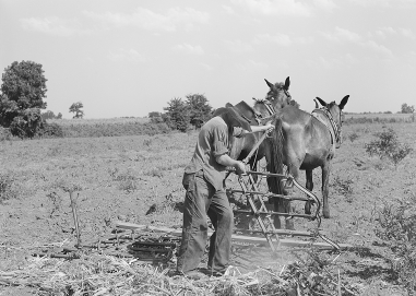 A farmer with a horse-drawn plow in a field. 