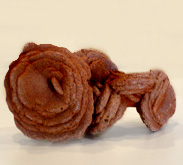 A barite rose, or rose rock