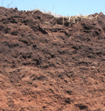image of Oklahoma’s reddish-brown soil